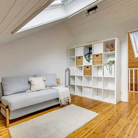 3p Duplex On The Outskirts Of Paris